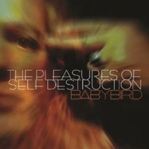 The Pleasures of Self Destruction
