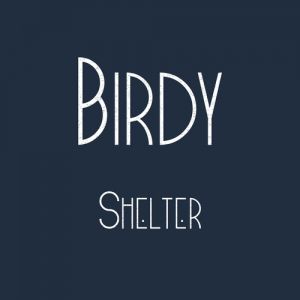 Shelter - album