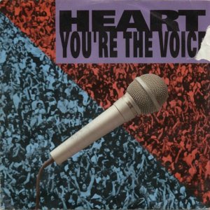 You're the Voice - album