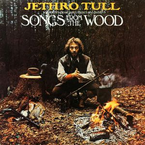 Songs from the Wood Album 