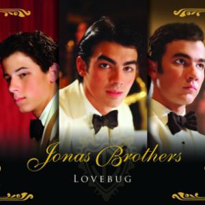 Lovebug - album