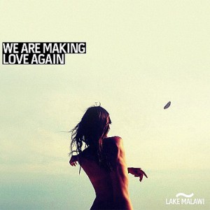 We Are Making Love Again - album