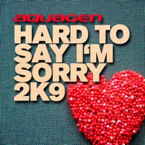 Hard To Say I'm Sorry 2K9 - album