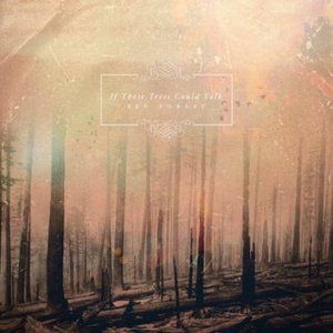 Red Forest - album