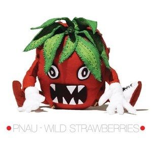 Wild Strawberries Album 