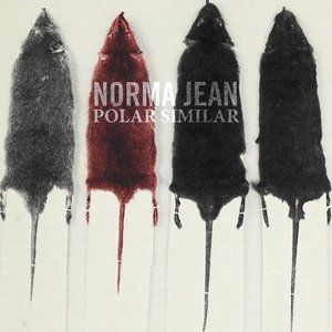Polar Similar - album