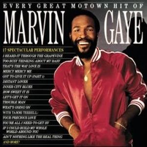 Every Great Motown Hit of Marvin Gaye - album
