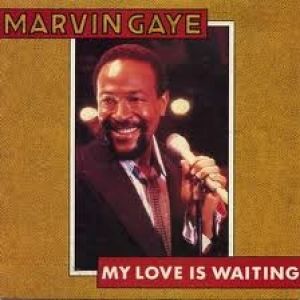 My Love Is Waiting - album