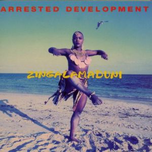 Zingalamaduni - album