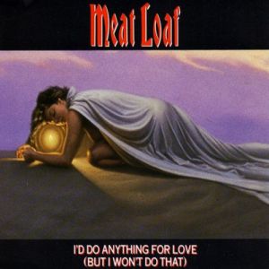 I'd Do Anything for Love (But I Won't Do That) - album