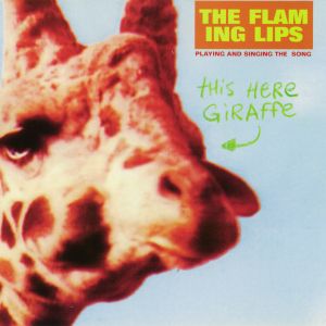 This Here Giraffe - album