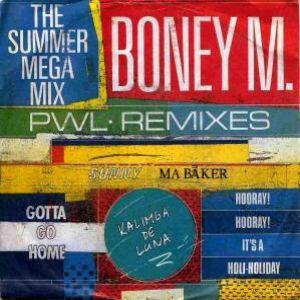 The Summer Mega Mix Album 