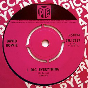 I Dig Everything Album 