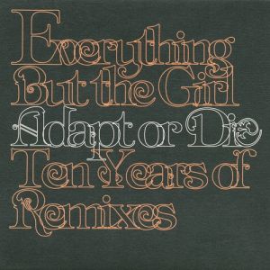 Adapt or Die: Ten Years of Remixes Album 