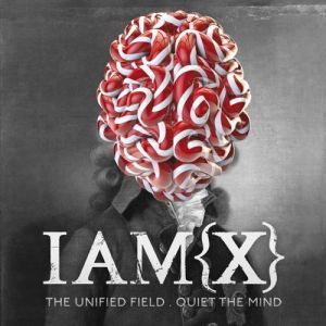 The Unified Field/Quiet The Mind - album