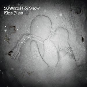 50 Words for Snow Album 