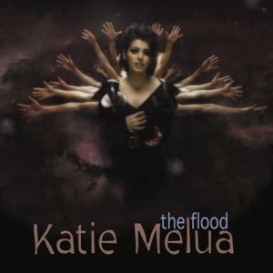 The Flood Album 