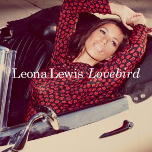 Lovebird Album 