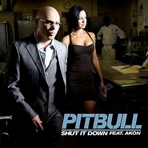 Shut It Down - album