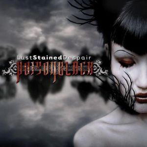 Lust Stained Despair - album