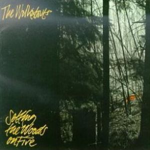 Setting the Woods on Fire Album 