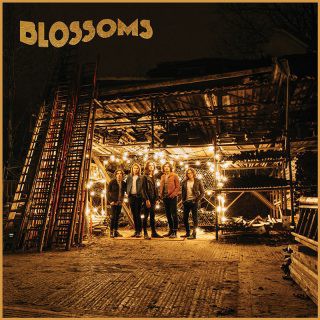 Blossoms Album 