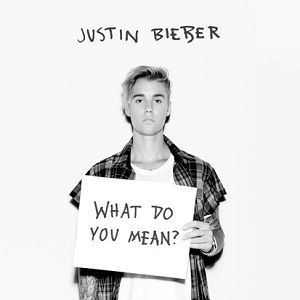 What Do You Mean? Album 