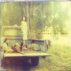 Desecration Smile - album