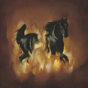 The Besnard Lakes Are the Dark Horse Album 