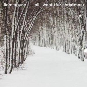 All I Want (For Christmas) Album 