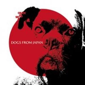 Dogs from Japan