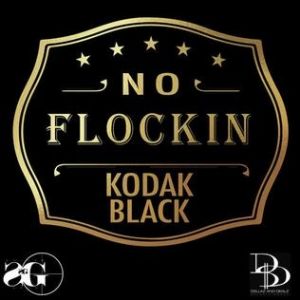 No Flockin - album