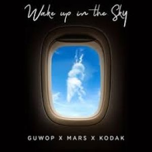 Wake Up in the Sky - album