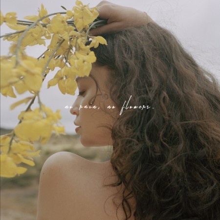 No Rain, No Flowers - album