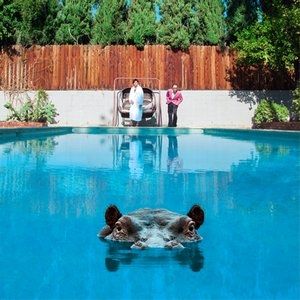 Hippopotamus - album