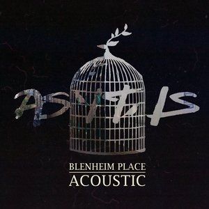 Blenheim Place Acoustic Album 