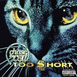 Chase the Cat - album