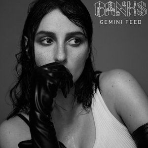 Gemini Feed Album 
