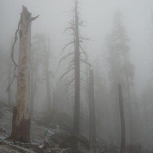 Mount Eerie pts. 6 & 7 Album 