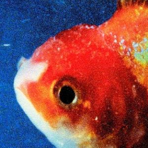 Big Fish Theory - album