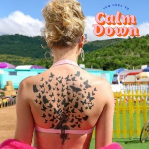 You Need to Calm Down - album