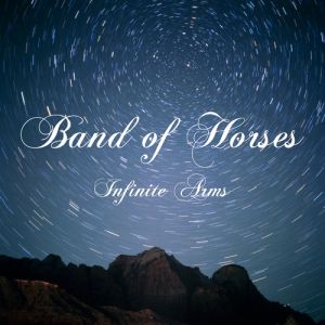 Infinite Arms Album 