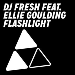 Flashlight Album 