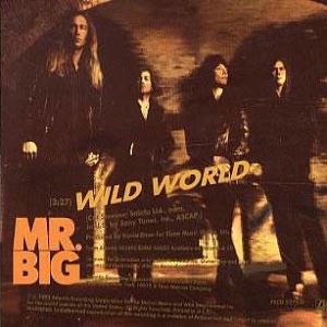 Wild World - album