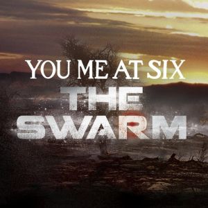 The Swarm Album 