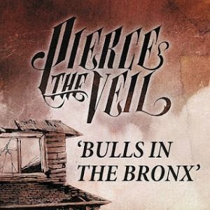 Bulls in the Bronx - album