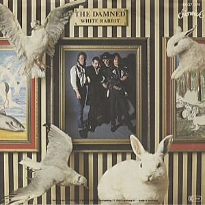 White Rabbit Album 