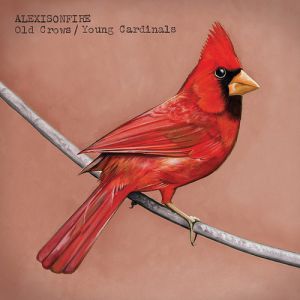 Old Crows / Young Cardinals Album 