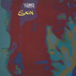 Skin - album