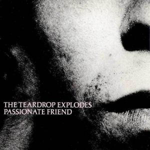 Passionate Friend - album